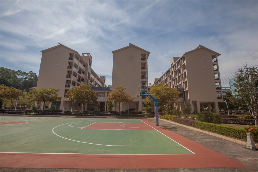 Basketball Court